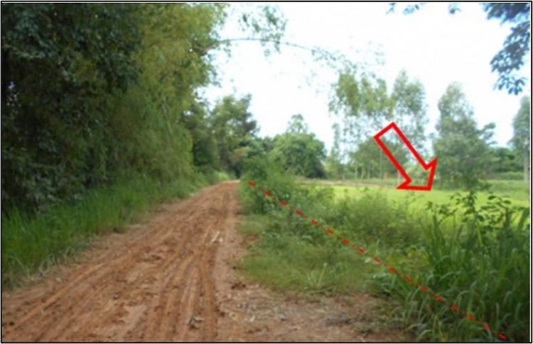 ใช่ 💖 ที่ดิน หนองเรือ ราคาพิเศษ! 💖 รูปที่ 4