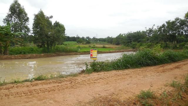 💖 ที่ดิน หนองเรือ ราคาพิเศษ! 💖