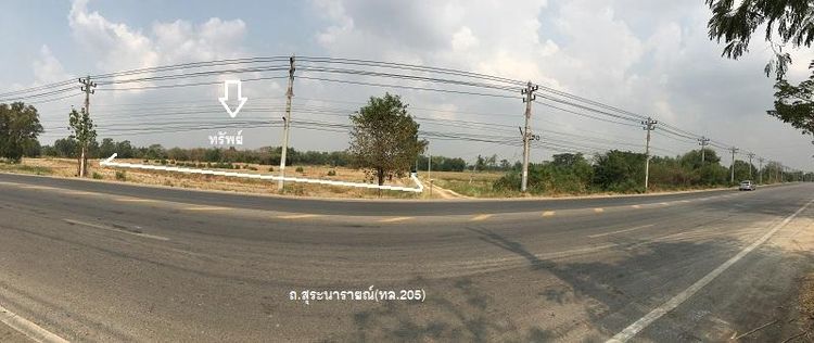 ใช่ 💖 ที่ดิน บ้านหมี่ ราคาพิเศษ! 💖 รูปที่ 3
