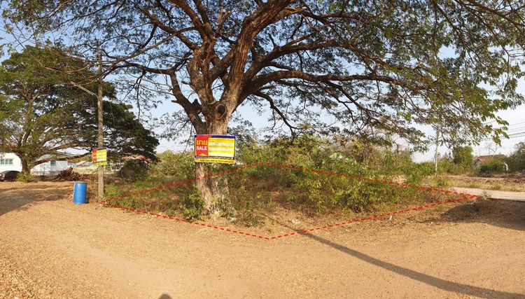 ใช่ 💖 ที่ดิน เมืองมหาสารคาม ราคาพิเศษ! 💖