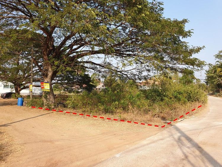 ใช่ 💖 ที่ดิน เมืองมหาสารคาม ราคาพิเศษ! 💖 รูปที่ 3