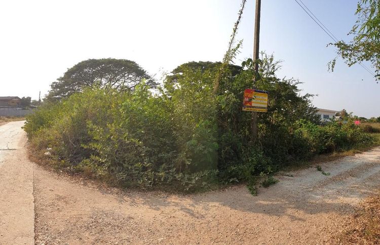 ใช่ 💖 ที่ดิน เมืองมหาสารคาม ราคาพิเศษ! 💖