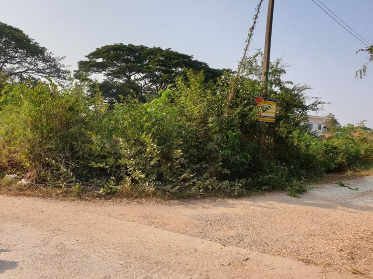 ใช่ 💖 ที่ดิน เมืองมหาสารคาม ราคาพิเศษ! 💖 รูปที่ 2