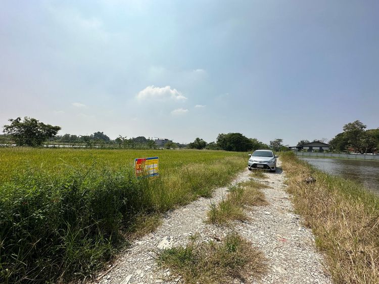 ใช่ 💖 ที่ดิน ไทรน้อย ราคาพิเศษ! 💖 รูปที่ 3