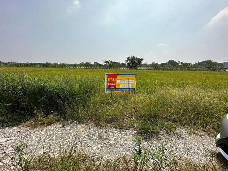 💖 ที่ดิน ไทรน้อย ราคาพิเศษ! 💖