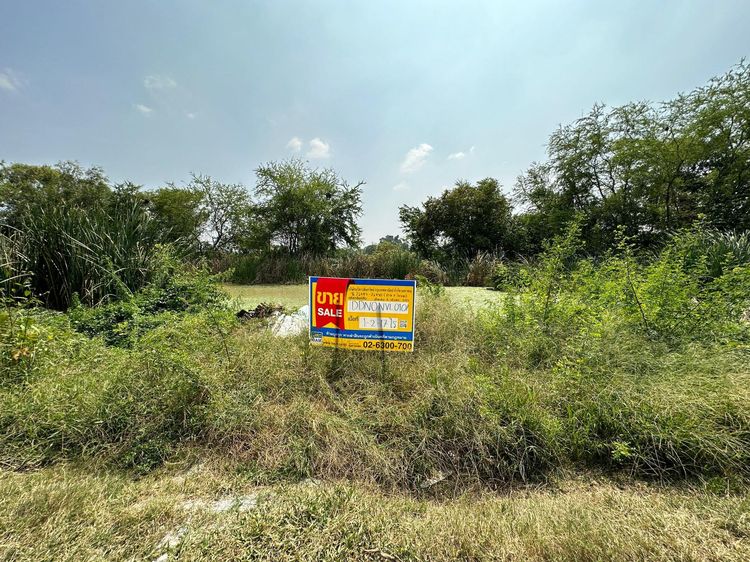 💖 ที่ดิน ไทรน้อย ราคาพิเศษ! 💖