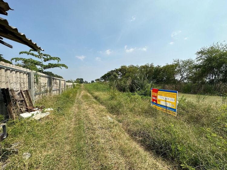 ใช่ 💖 ที่ดิน ไทรน้อย ราคาพิเศษ! 💖 รูปที่ 2