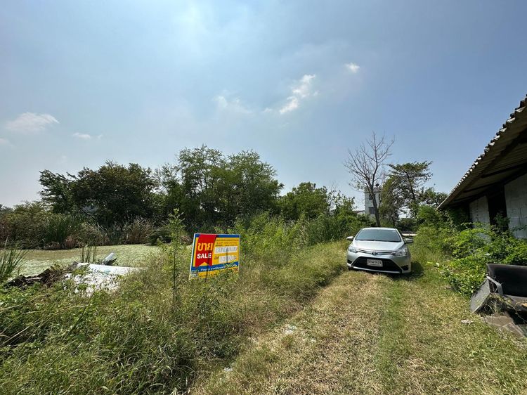 ใช่ 💖 ที่ดิน ไทรน้อย ราคาพิเศษ! 💖 รูปที่ 3