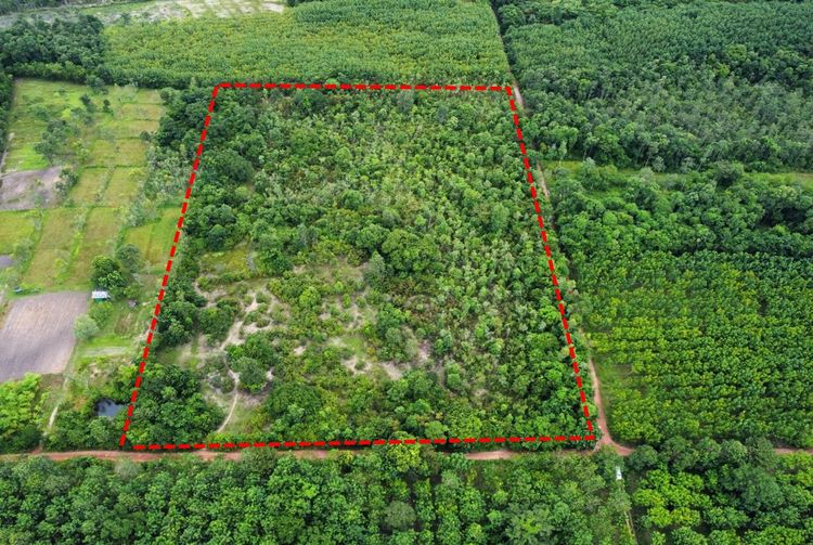 ใช่ 💖 ที่ดิน เมืองนครพนม ราคาพิเศษ! 💖 รูปที่ 4