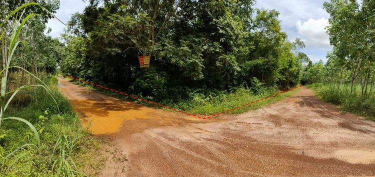 ใช่ 💖 ที่ดิน เมืองนครพนม ราคาพิเศษ! 💖