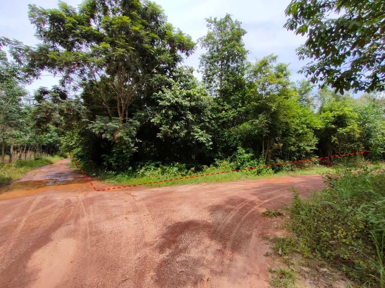 ใช่ 💖 ที่ดิน เมืองนครพนม ราคาพิเศษ! 💖 รูปที่ 2