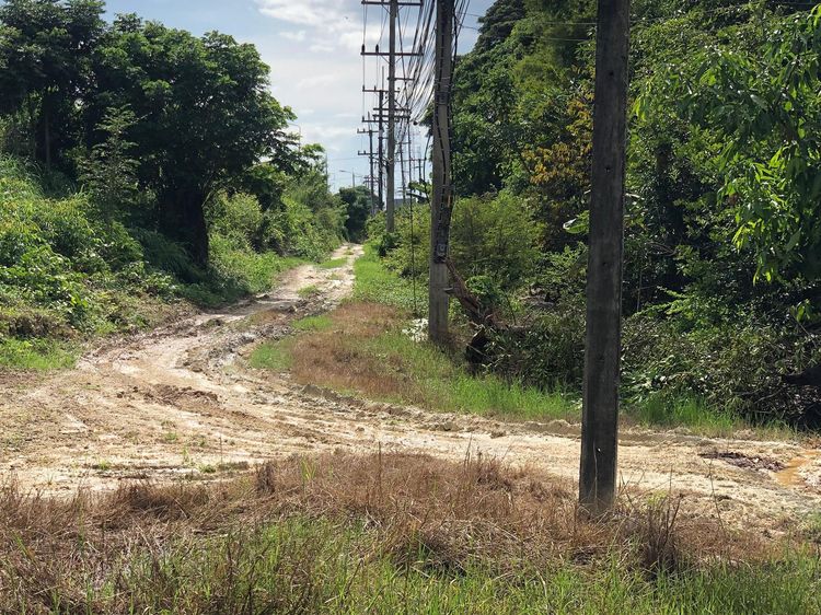 ใช่ 💖 ที่ดิน พยุหะคีรี ราคาพิเศษ! 💖 รูปที่ 3