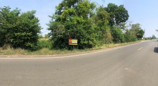 ใช่ 💖 ที่ดิน เมืองเพชรบูรณ์ ราคาพิเศษ! 💖 รูปที่ 4