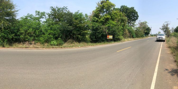 ใช่ 💖 ที่ดิน เมืองเพชรบูรณ์ ราคาพิเศษ! 💖 รูปที่ 3