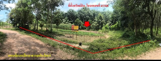 ใช่ 💖 ที่ดิน เมืองพัทลุง ราคาพิเศษ! 💖