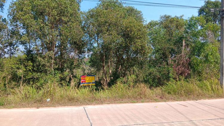 💖 ที่ดิน แกลง ราคาพิเศษ! 💖