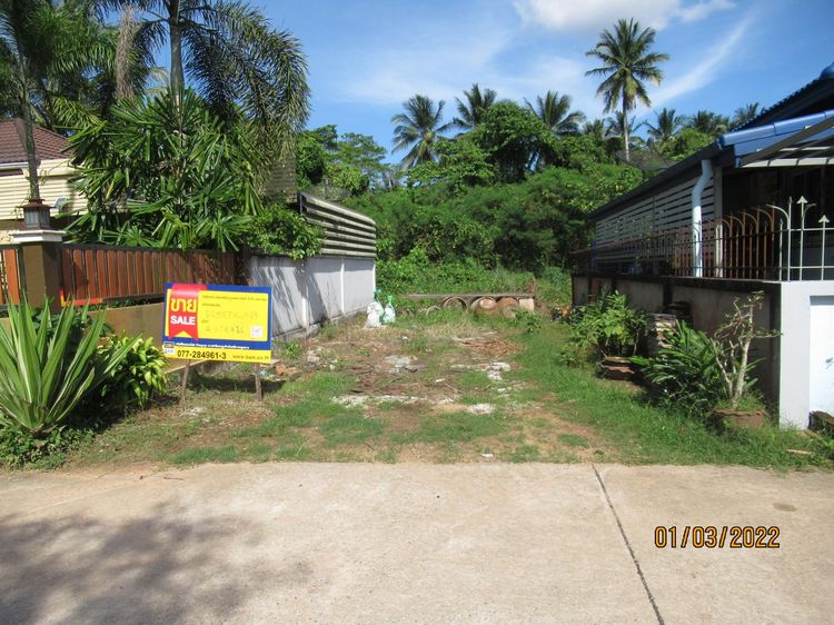 ใช่ 💖 ที่ดิน พุนพิน ราคาพิเศษ! 💖