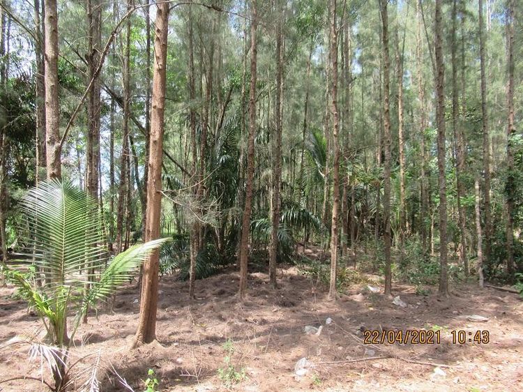 āđāļāđ ð āļāļĩāđāļāļīāļ āđāļāļēāļ°āļŠāļĄāļļāļĒ āļĢāļēāļāļēāļāļīāđāļĻāļĐ! ð āļĢāļđāļāļāļĩāđ 4