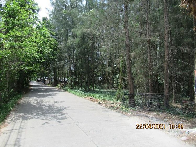 āđāļāđ ð āļāļĩāđāļāļīāļ āđāļāļēāļ°āļŠāļĄāļļāļĒ āļĢāļēāļāļēāļāļīāđāļĻāļĐ! ð āļĢāļđāļāļāļĩāđ 3