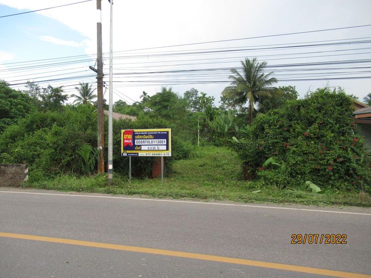 ใช่ 💖 ที่ดิน พุนพิน ราคาพิเศษ! 💖