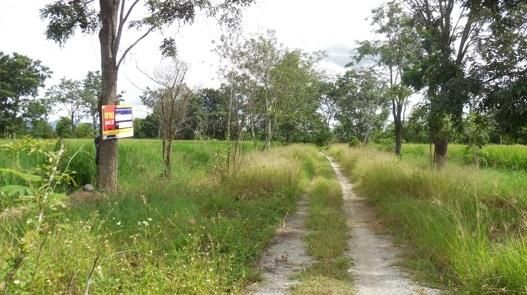 ใช่ 💖 ที่ดิน สันกำแพง ราคาพิเศษ! 💖