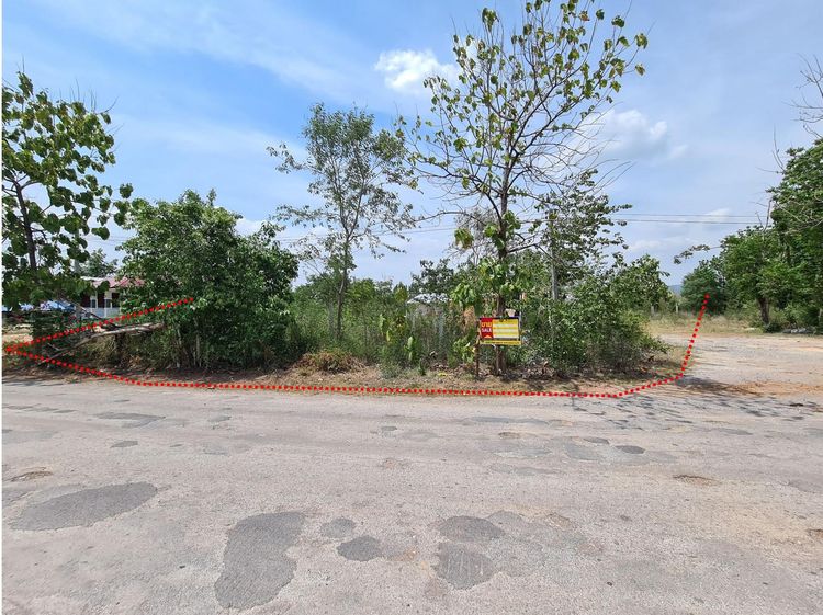 ใช่ 💖 ที่ดิน สีชมพู ราคาพิเศษ! 💖 รูปที่ 2