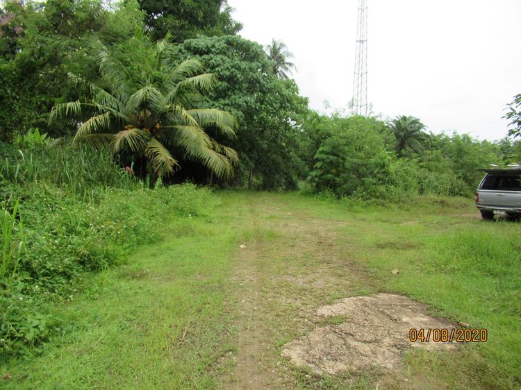 ใช่ 💖 ที่ดิน เมืองกระบี่ ราคาพิเศษ! 💖 รูปที่ 4