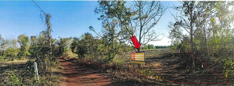 ใช่ 💖 ที่ดิน เมืองหนองคาย ราคาพิเศษ! 💖