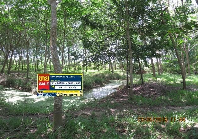 💖 ที่ดิน เมืองนราธิวาส ราคาพิเศษ! 💖