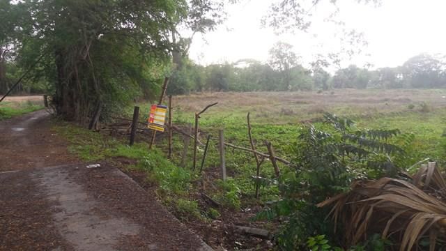 ใช่ 💖 ที่ดิน ห้วยแถลง ราคาพิเศษ! 💖 รูปที่ 3