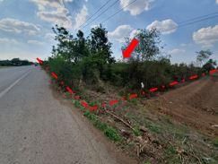 ใช่ 💖 ที่ดิน ศรีเทพ ราคาพิเศษ! 💖 รูปที่ 3