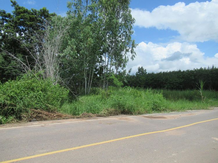 ใช่ 💖 ที่ดิน กุดจับ ราคาพิเศษ! 💖 รูปที่ 4