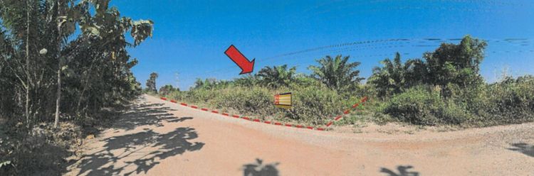 ใช่ 💖 ที่ดิน หนองหาน ราคาพิเศษ! 💖 รูปที่ 2