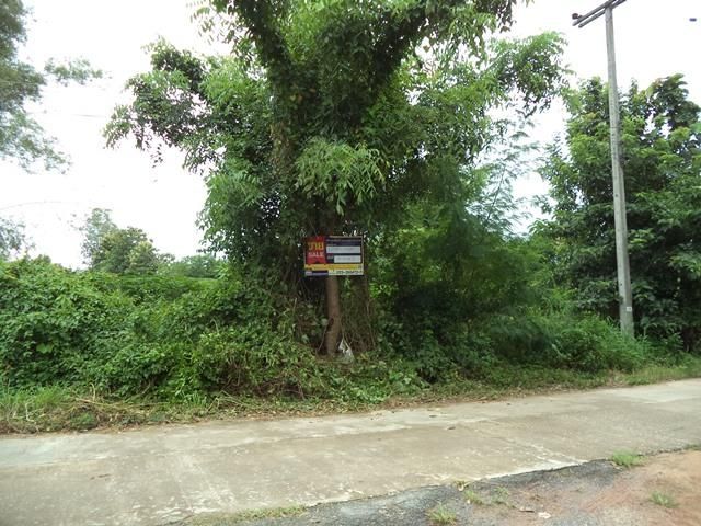 ใช่ 💖 ที่ดิน ฝาง ราคาพิเศษ! 💖 รูปที่ 3