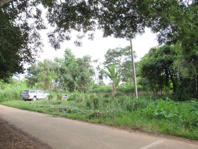 ใช่ 💖 ที่ดิน ฝาง ราคาพิเศษ! 💖 รูปที่ 2