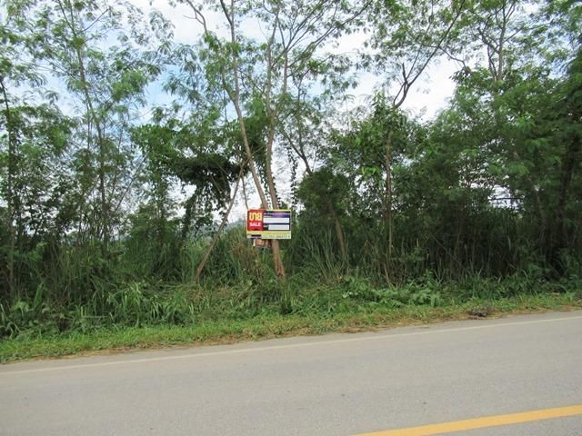 ใช่ 💖 ที่ดิน ฝาง ราคาพิเศษ! 💖 รูปที่ 3