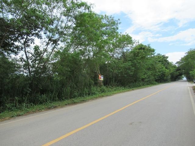 ใช่ 💖 ที่ดิน ฝาง ราคาพิเศษ! 💖 รูปที่ 4