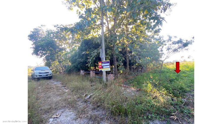 ใช่ 💖 ที่ดิน ดอยหล่อ ราคาพิเศษ! 💖 รูปที่ 2