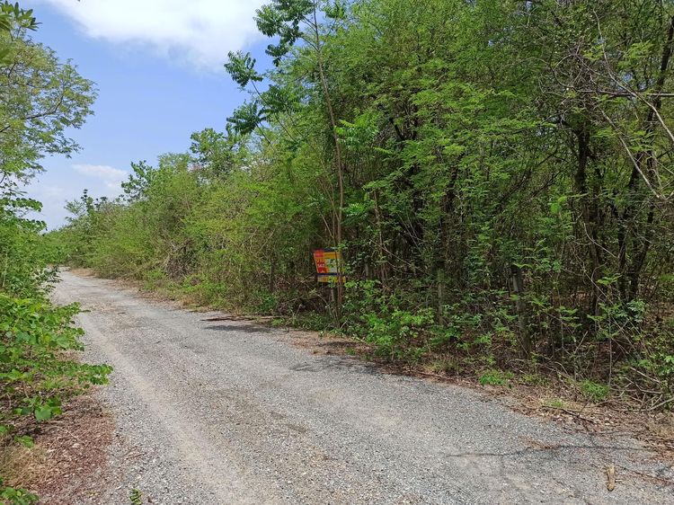 ใช่ 💖 ที่ดิน เมืองกาญจนบุรี ราคาพิเศษ! 💖 รูปที่ 2