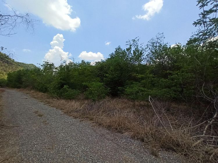 ใช่ 💖 ที่ดิน เมืองกาญจนบุรี ราคาพิเศษ! 💖 รูปที่ 3