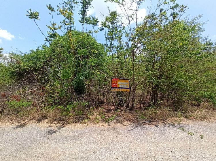 💖 ที่ดิน เมืองกาญจนบุรี ราคาพิเศษ! 💖