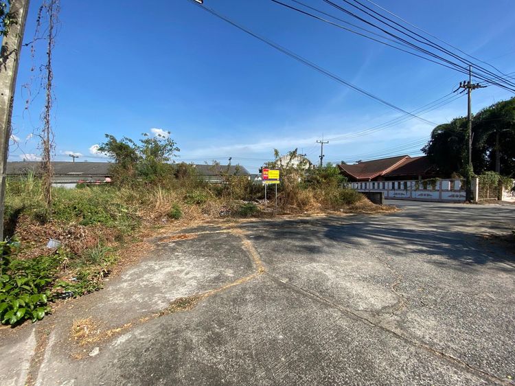ใช่ 💖 ที่ดิน เมืองนครนายก ราคาพิเศษ! 💖 รูปที่ 4