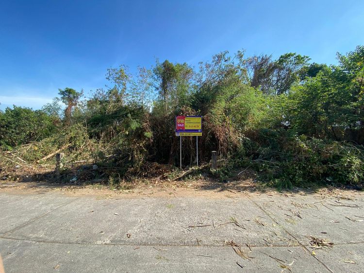 āđāļāđ ð āļāļĩāđāļāļīāļ āđāļĄāļ·āļāļāļāļāļĢāļāļēāļĒāļ āļĢāļēāļāļēāļāļīāđāļĻāļĐ! ð āļĢāļđāļāļāļĩāđ 3