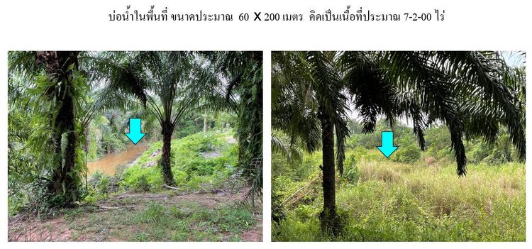 ใช่ 💖 ที่ดิน บางสะพานน้อย ราคาพิเศษ! 💖 รูปที่ 4