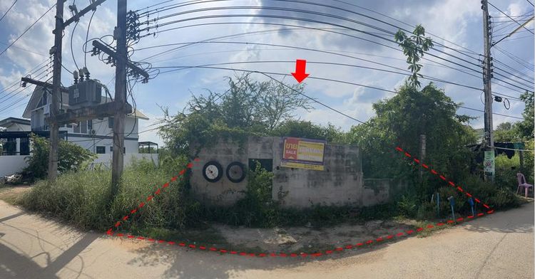 ใช่ 💖 ที่ดิน เมืองพิษณุโลก ราคาพิเศษ! 💖 รูปที่ 4