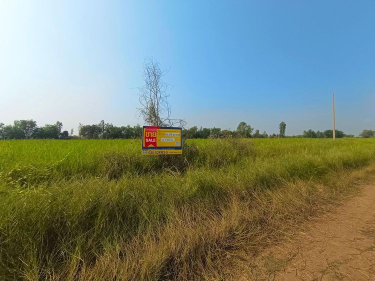 💖 ที่ดิน บางปลาม้า ราคาพิเศษ! 💖