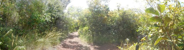 ใช่ 💖 ที่ดิน เพ็ญ ราคาพิเศษ! 💖 รูปที่ 4