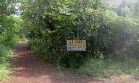 ใช่ 💖 ที่ดิน เพ็ญ ราคาพิเศษ! 💖 รูปที่ 3