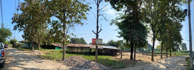 ใช่ 💖 ที่ดิน ป่าซาง ราคาพิเศษ! 💖 รูปที่ 4