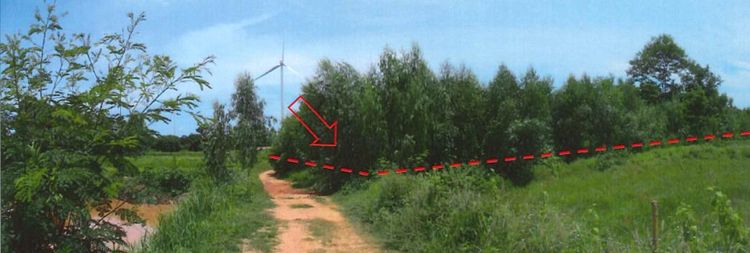 ใช่ 💖 ที่ดิน ด่านขุนทด ราคาพิเศษ! 💖 รูปที่ 3